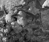 2026-03-08_1 ab 14.00 Paarung 1