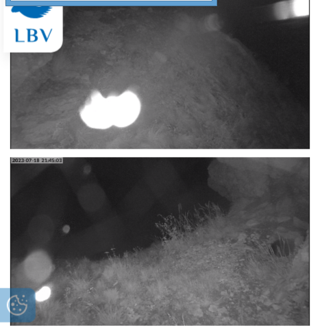 bg230718_sp