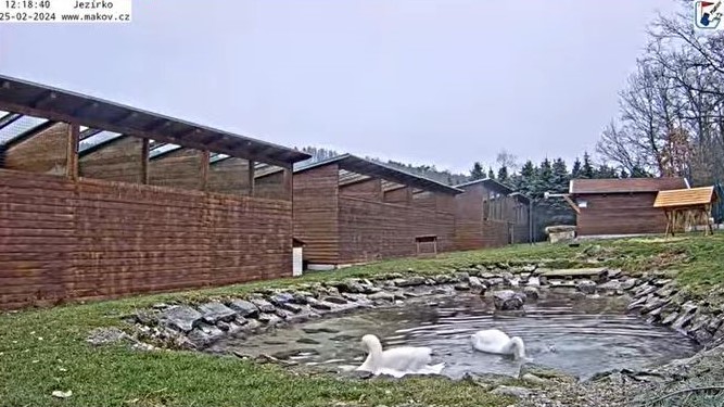 Makov32