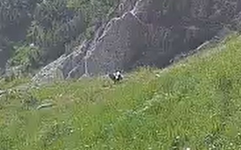 Barti auf der Wiese 1 04.07.25