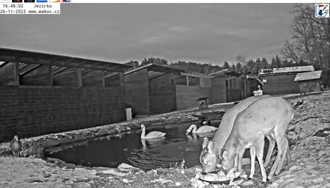 Snap_2023.11.26_16h51m54s_014_