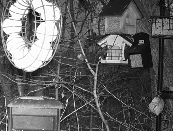 Snap_2023.03.07_06h31m25s_002_