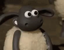 SheepExcellentGIF