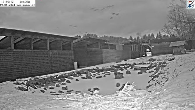 Makov10