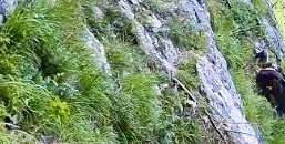 IMG_5174