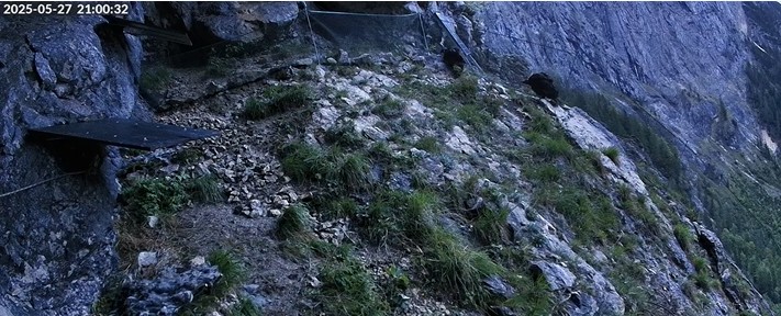 Screenshot 2025-05-27 205607