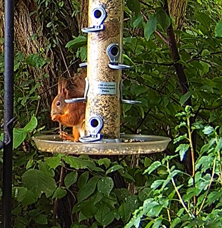 EK von fremden Tellern 19.06.24