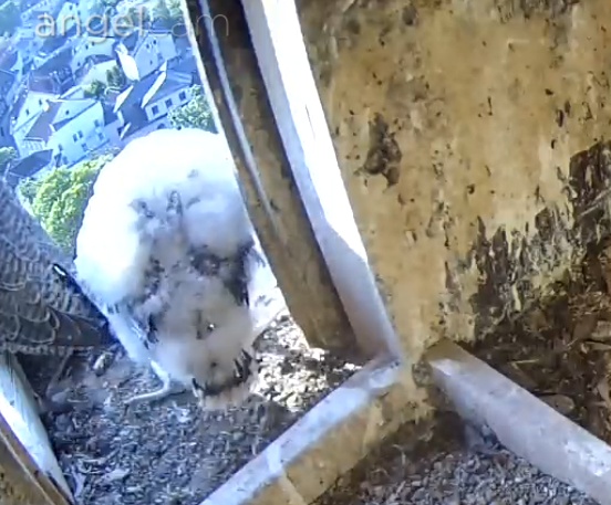 Screenshot_20230515-072500-01