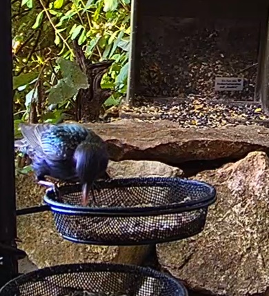 Star zu Besuch 18.06.24