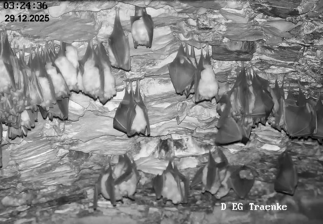 2025-12-29 ab 03.00_1 Beginn Aktivitäten und Cluster