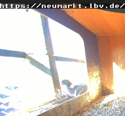 Screenshot (3104)