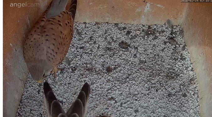 Snap_2026.03.14_09h16m56s_005_