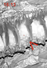 2026-02-9_7 ab 16.00 Aufwachphase 1