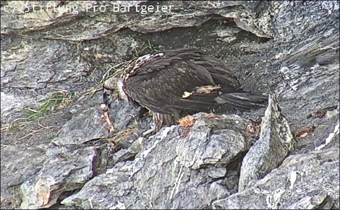 M. beim Frühstück
