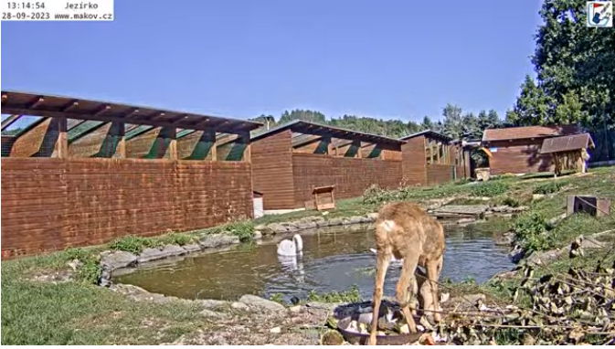 Snap_2023.09.28_13h15m26s_002_