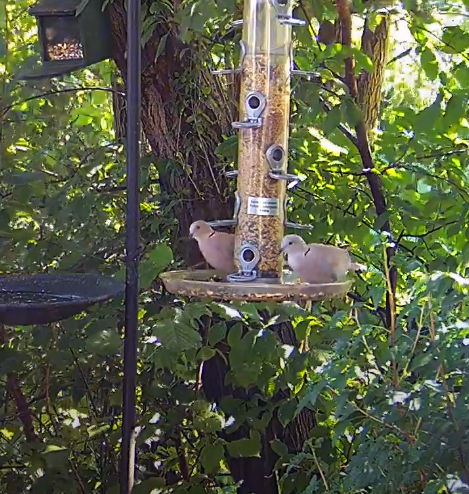 Snap_2024.06.19_16h52m20s_007_