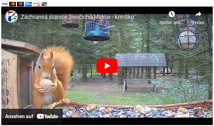 Snap_2023.10.22_13h04m56s_011_