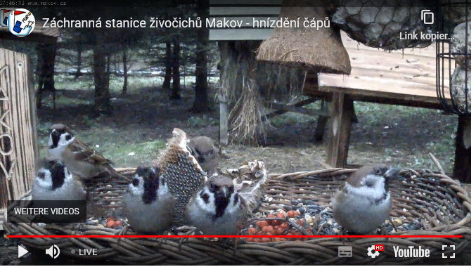 Snap_2022.11.22_07h48m02s_001_