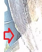Snap_2023.08.21_09h32m10s_003_