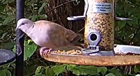 TüTa bei Petra 01.07.24