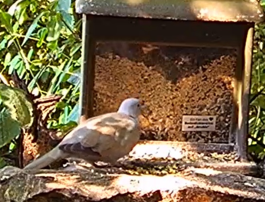 TüTa am Silo 28.06.24
