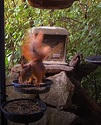 EK am Morgen 29.06.24