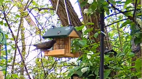 Star am Energieriegel 10.04.24