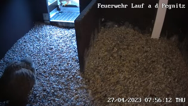 2023-04-27 08_15_28-Freiwillige Feuerwehr Lauf an der Pegnitz und 1 weitere Seite - Persönlich – Mic