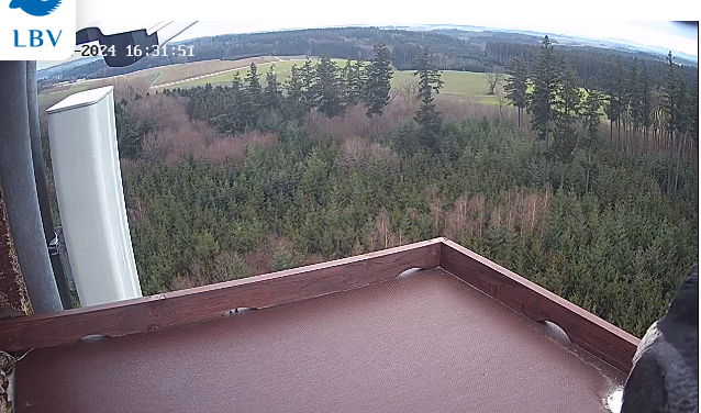 Snap_2024.02.10_16h30m52s_002_