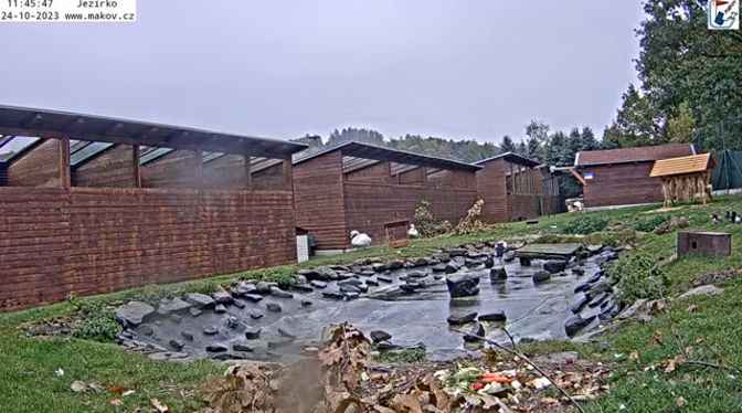 Snap_2023.10.24_11h46m21s_004_