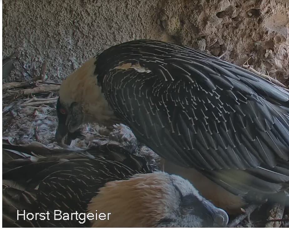 Screenshot_20250815-130011~2