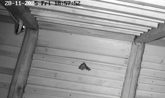 Vollbildaufzeichnung 28.11.2025 185755