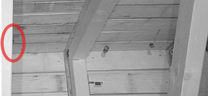 2026-05-22_4  drei Kleine Hufis in WG 8.45