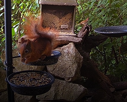 EK am Morgen 2 29.06.24