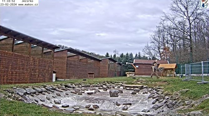 Makov4