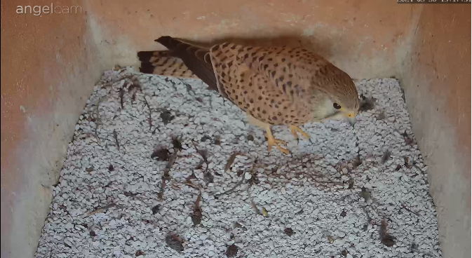 Snap_2024.03.30_14h18m03s_004_