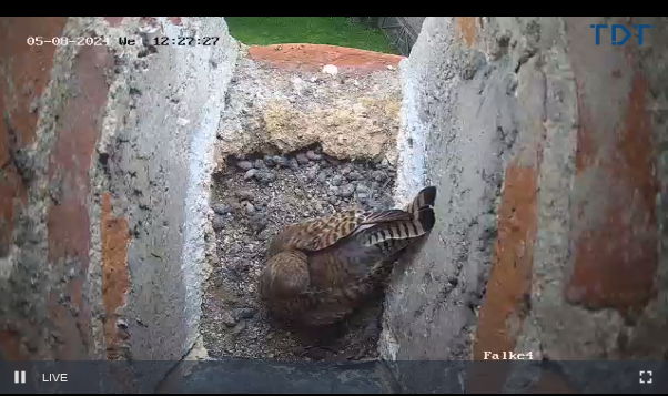 Snap_2024.05.08_12h32m16s_007_