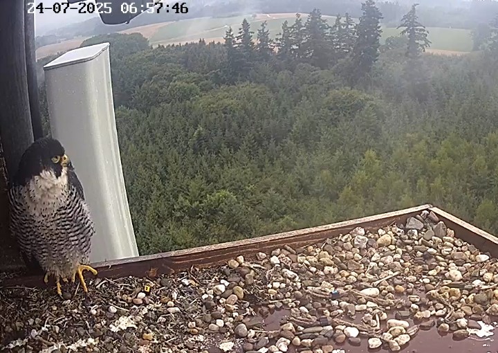 Screenshot_20250724-065752_Chrome