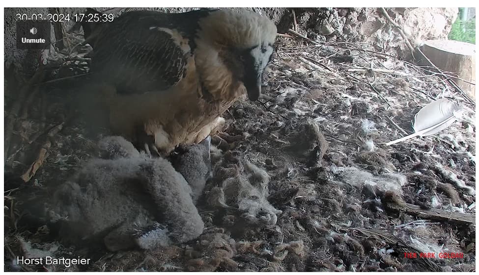 Screenshot 2024-03-30 172555