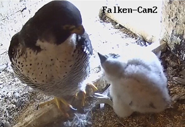 2023-05-11 20_18_43-Clipboard