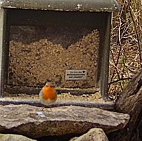 Robin vor dem Silo 01.03.24