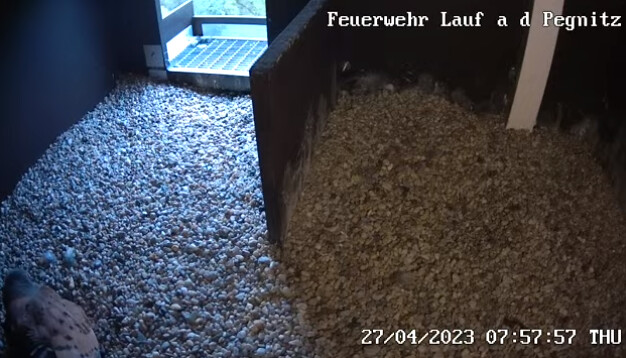 2023-04-27 08_17_13-Freiwillige Feuerwehr Lauf an der Pegnitz und 1 weitere Seite - Persönlich – Mic