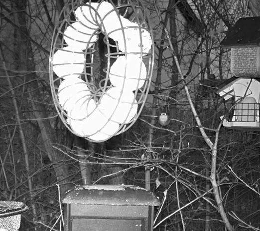 Snap_2023.03.07_06h31m44s_003_