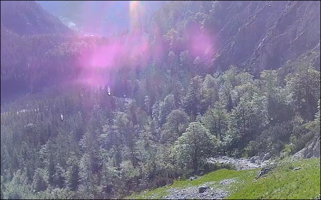 Licht