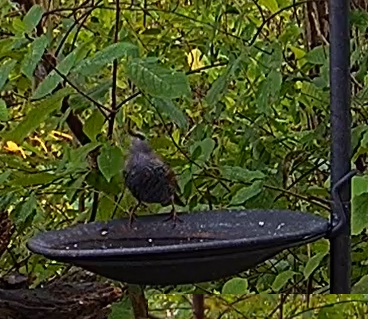 Star an Tränke 14.10.24