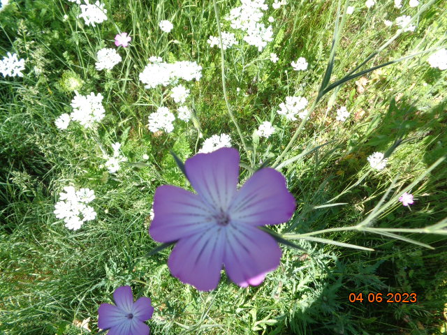 DSC00301