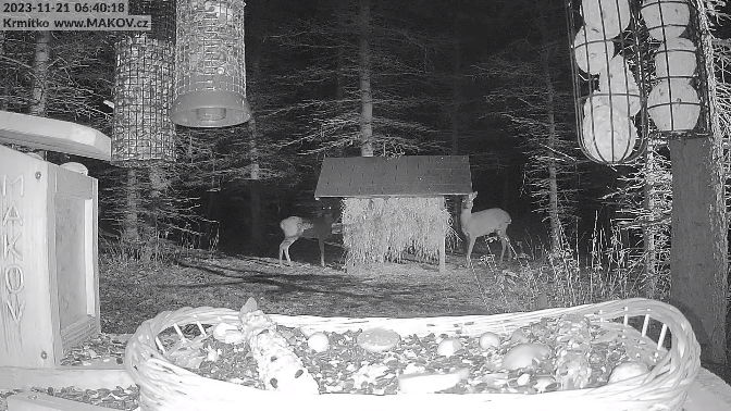 Snap_2023.11.21_06h40m49s_005_