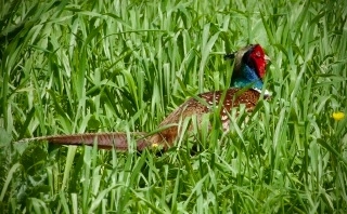 IMG_20230430_193101_547