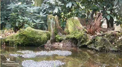 Snap_2024.03.17_11h02m49s_008_